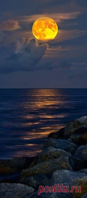 Full moon rising over Jupiter Inlet Beach in Florida by Dani Ovando | Steve Davis приколол(а) это к доске Beautifull