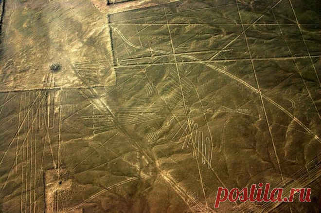 Гигантские рисунки Наска: странные теории и вопросы без ответов