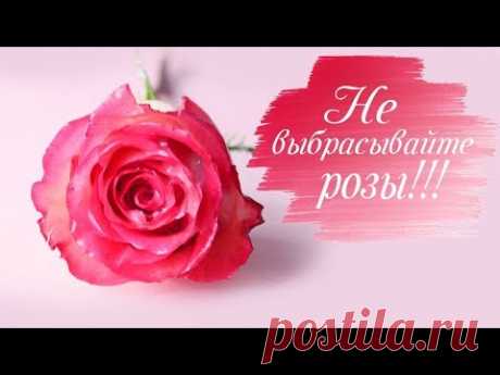 БОЛЬШЕ НЕ НУЖНО ВЫБРАСЫВАТЬ ЦВЕТЫ! Как продлить жизнь цветам. Розы в воске!