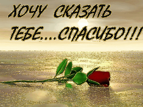 Спасибо тебе!