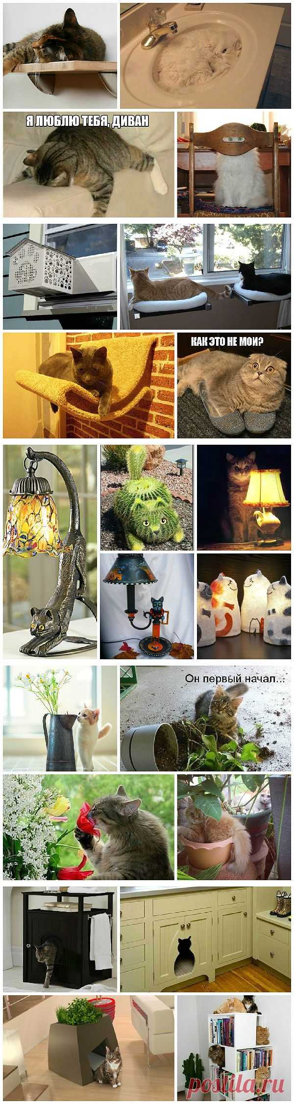 Интерьер для кота и кот в интерьере - 8 правил кошачьего декора