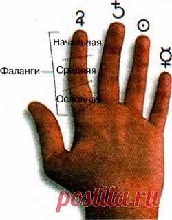 Как прочитать линии на руке