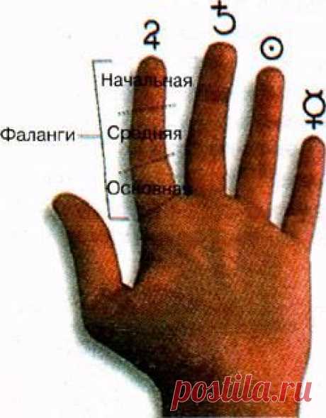 Как прочитать линии на руке
