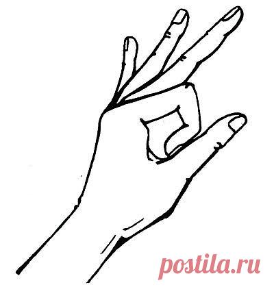 цитата Моя_кулинарная_книга : Шесть простых упражнений при артрите (11:04 26-01-2014) [3226371/309951614] - natasha_5656@mail.ru - Почта Mail.Ru