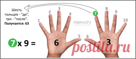 Таблица умножения на 6, 7, 8, 9 и 10 на пальцах