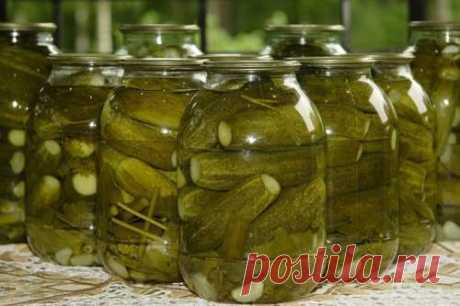 ОГУРЦЫ БОЧКОВЫЕ В БАНКАХ - Соление и маринование - Кулинарные рецепты