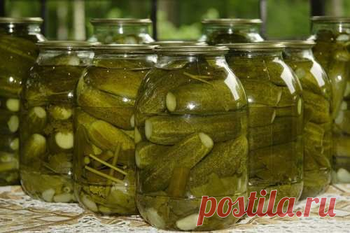 ОГУРЦЫ БОЧКОВЫЕ В БАНКАХ - Соление и маринование - Кулинарные рецепты