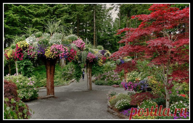 Ботанический сад Glacier Gardens, Juneau, Alaska