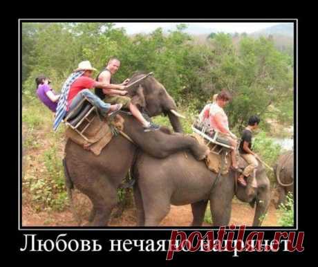 Мой Мир@Mail.Ru