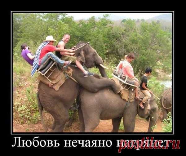 Мой Мир@Mail.Ru