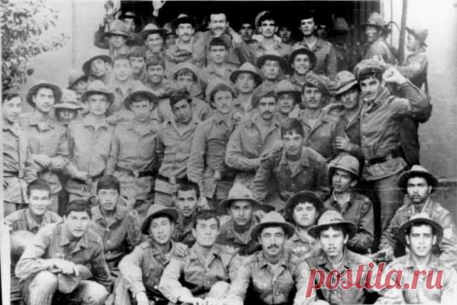О ком написана песня &laquo;Мусульманский батальон&raquo;. (Muslim battalion. song.)&nbsp; &nbsp;Выживи сам