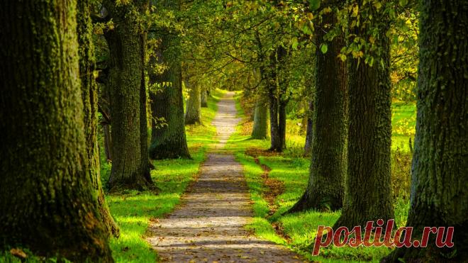 Картинки красивые обои на рабочий стол (35 фото) ⭐ Забавник