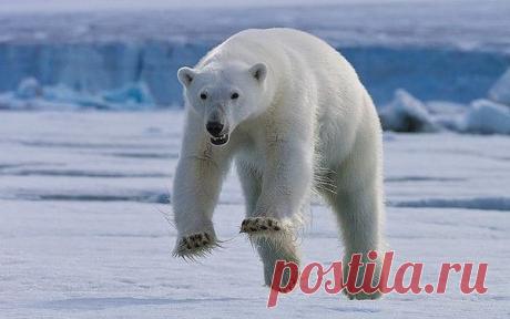 Интересные новости