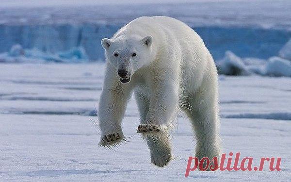 Интересные новости