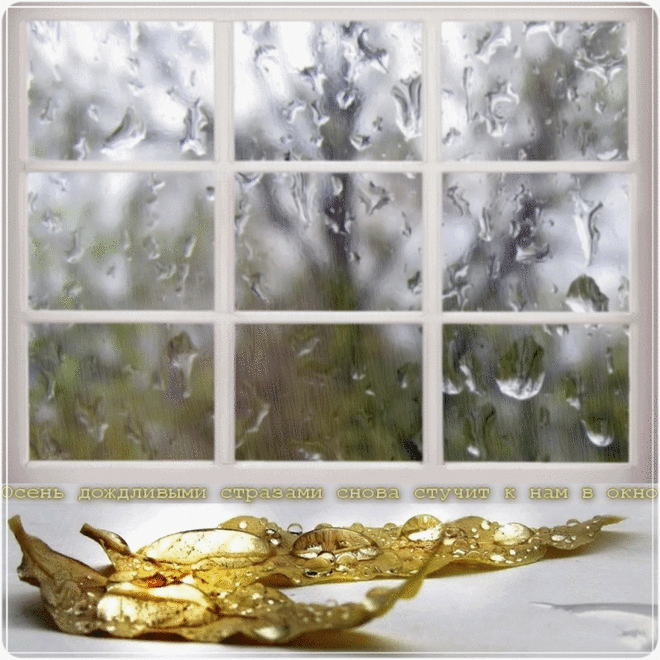 Плейкаст «Осенние слёзы»