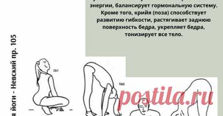 Kundalini & Академия Йоги СПб Невский 105 - Главная