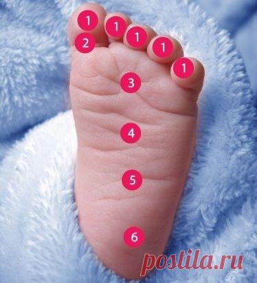 💟 Маме в копилку 💟
Ножка малыша 👣
Мягко массируя определенную зону на детской стопе, Вы успокоите своего малыша, если у него что-то болит:
1 – Нос и горло
2 – Зубы и голова
3 – Солнечное сплетение
4 – Верхняя часть живота
5 – Нижняя часть живота
6 – Тазовая область
Сохраните себе, чтобы не потерять 📌