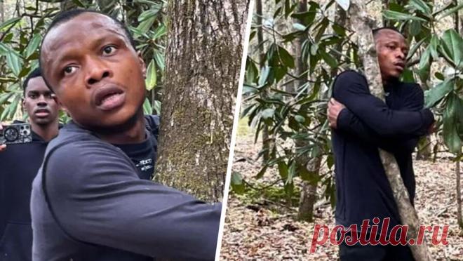 Африканец установил мировой рекорд по количеству обнятых деревьев за час. Мужчина из Ганы за час обнял 1123 дерева и установил мировой рекорд, пишет издание UPI. Свое достижение африканец оформил в Национальном лесу Таскиги. Как рассказал 29-летний автор рекорда Абубакар Тахиру, он заинтересовался проблемами ...