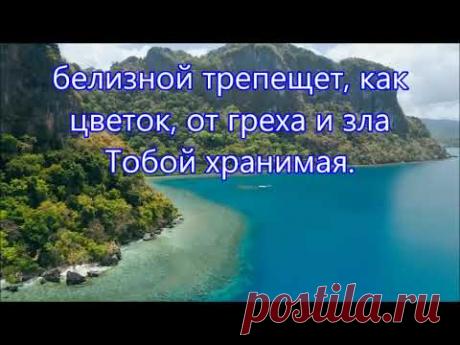 У дороги лилия цвела