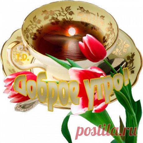 Я к тебе спешу навстречу!