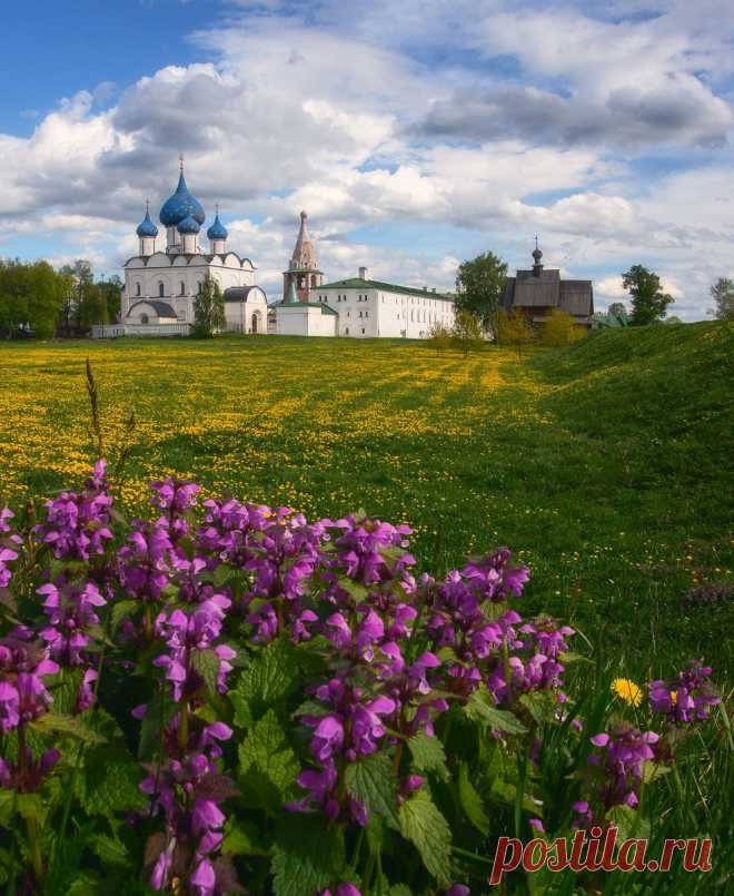 Су́здаль, Россия
Автор фото: Дмитрий Мартыненко.
