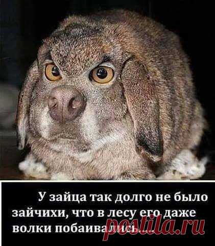 AvtoSabr - Главная