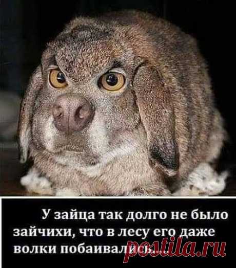 AvtoSabr - Главная