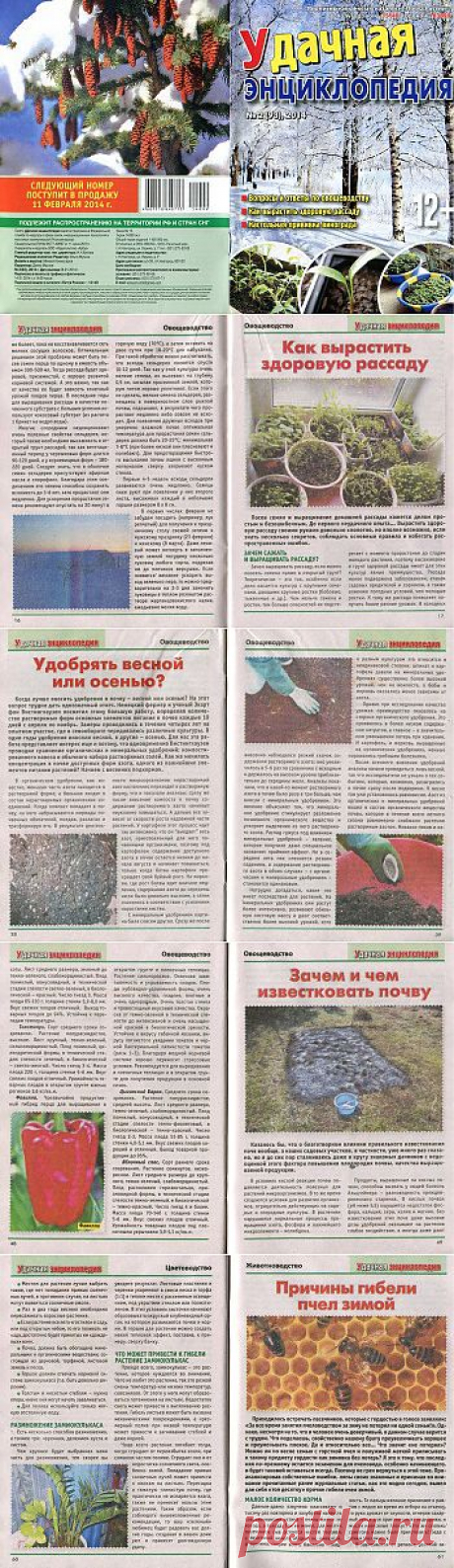 Удачная энциклопедия №2 2014 .