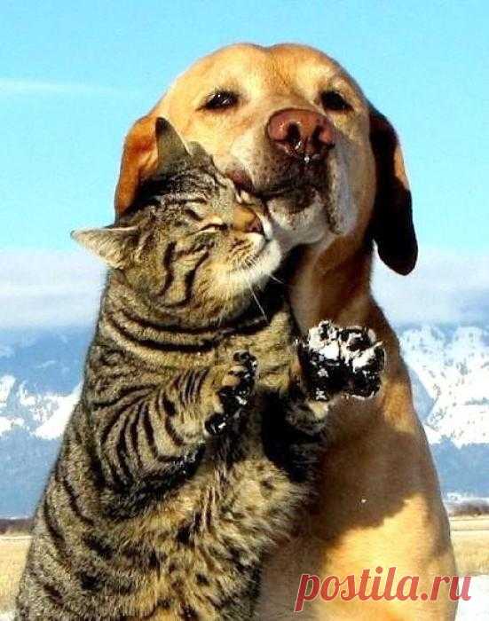 ЕЩЁ КОТЭ | KotoMail.ru