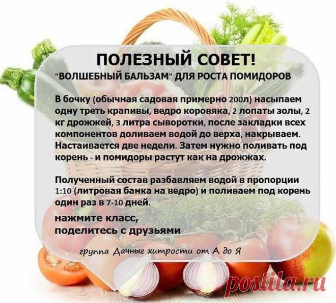 &#127969; Дачные хитрости | Полезные советы &#127969;