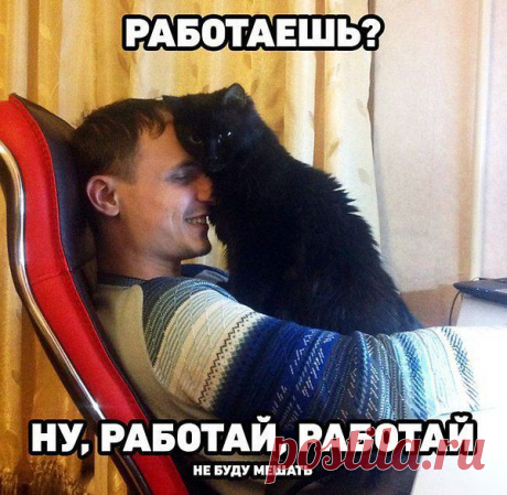 Интересные новости