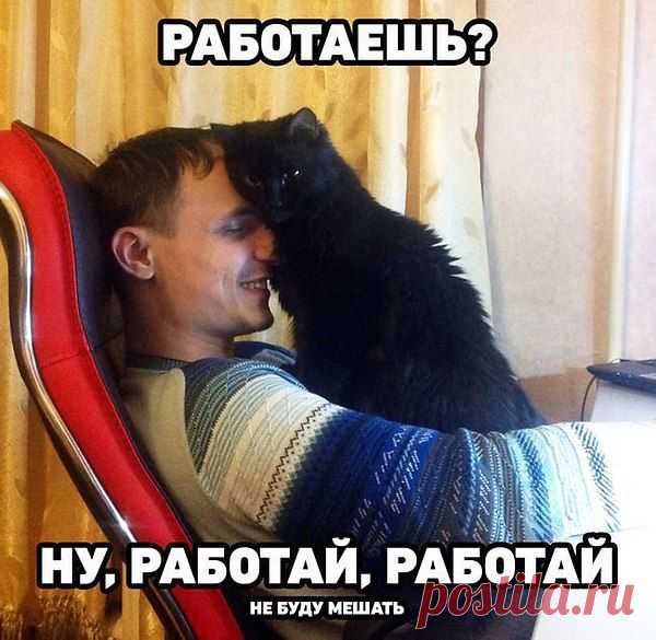 Интересные новости