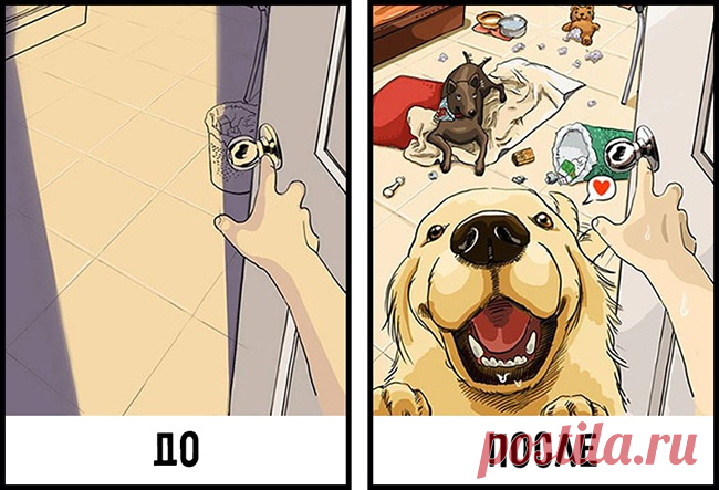 Жизнь до и после появления собаки в доме
