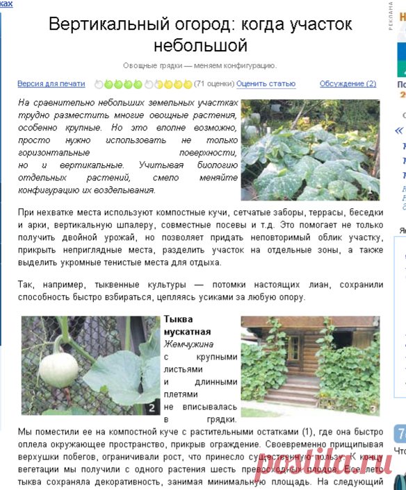 Вертикальный огород: когда участок небольшой. На грядках