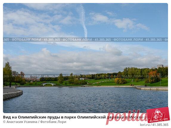 Вид на Олимпийские пруды в парке Олимпийской деревни в Москве ранней осенью. (2016 год) Редакционное фото, фотограф Анастасия Усанина / Фотобанк Лори