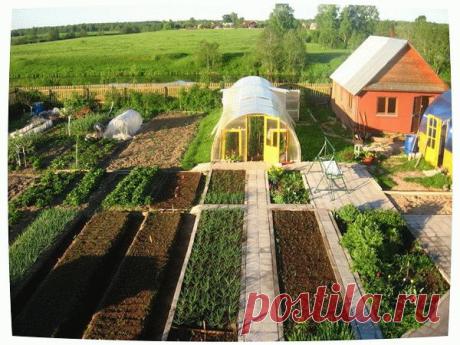 Грядки на даче своими руками с фото