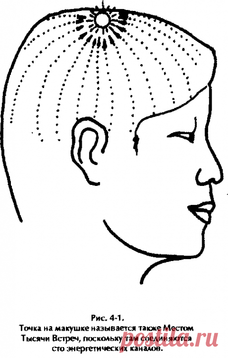 ЦИ-САМОМАССАЖ ГОЛОВЫ Аюрведический центр красоты и здоровья «Живая вода»
ЦИ-САМОМАССАЖ ГОЛОВЫ
Самомассаж головы помогает при головных болях, повышенной нервной возбудимости и дисбалансе Ци в головном мозге.
Причины возни…