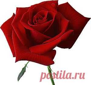 Рукоделие для дома. Подборка..