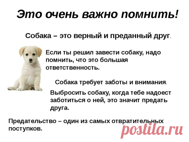 Анастасия-Александровна Разумовская-Волкова