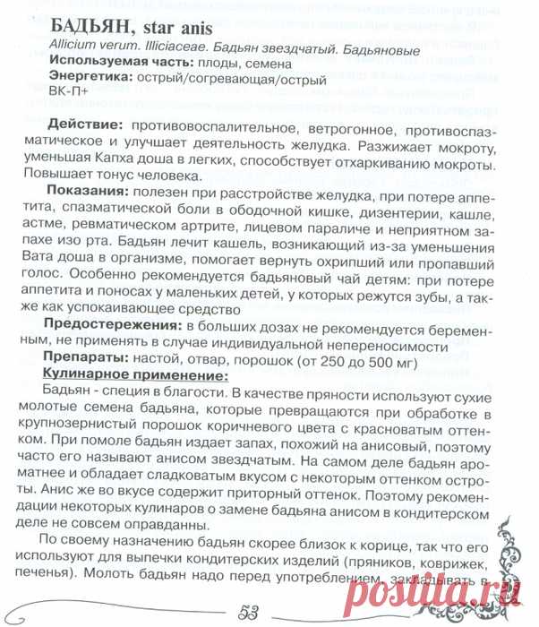 Специи: БАДЬЯН - применение