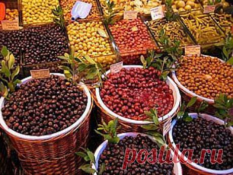 Оливка, она же маслина - личное дело