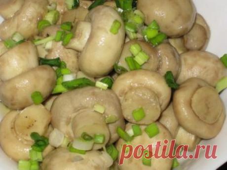 Маринованные грибочки по - венесуэльски | Четыре вкуса