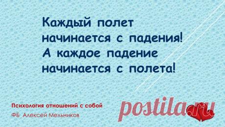Все, что нужно знать о жизни...