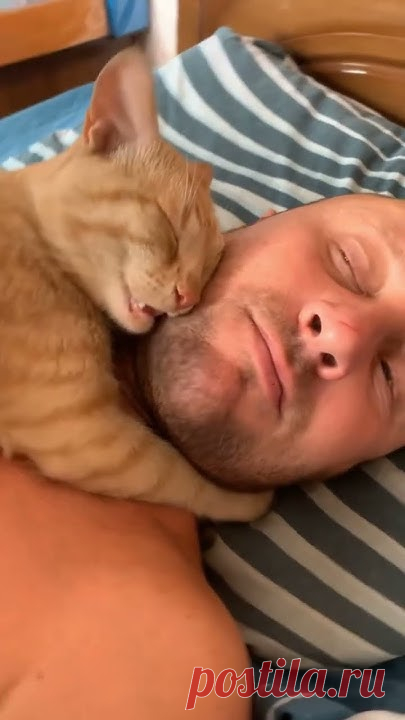 Родные души😽😽😽подписывайтесь на канал👍✍️