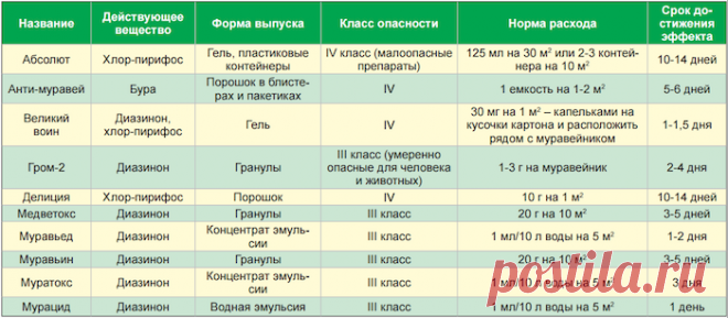 Как избавиться от муравьев навсегда - медиаплатформа МирТесен