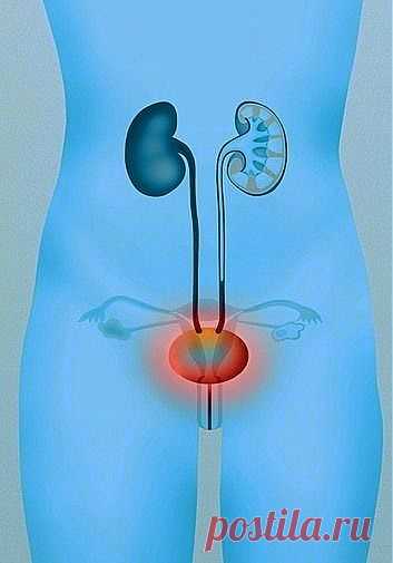 НАРОДНЫЕ МЕТОДЫ ЛЕЧЕНИЯ ЦИСТИТА (РЕЦЕПТЫ НАРОДНОЙ МЕДИЦИНЫ).