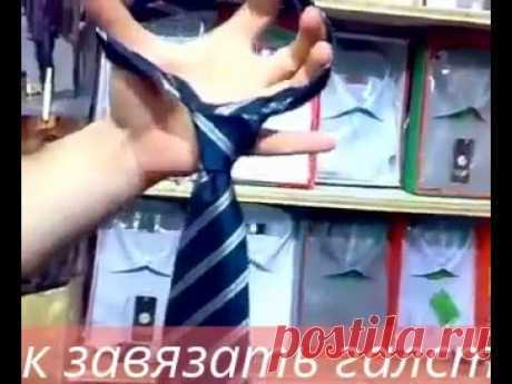 Как завязать галстук. Видео | razpetelka.ru