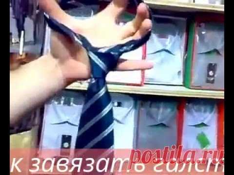 Как завязать галстук. Видео | razpetelka.ru