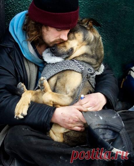 Боже, помоги мне быть таким человеком, каким меня считает моя собака