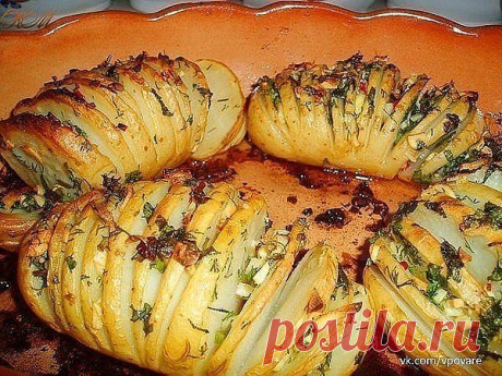 10 вкусных рецептов из картофеля 

1). Картофель Дофинэ

Ингредиенты:

● 9 шт. картофеля, средних, одинаковой величины
● 9 ч. л. сливочного масла
● 9 пластинок сыра голландского или Гауда толщиной 5 мм
● соль и молотый перец по вкусу

Приготовление:

Картофель вымыть и очистить, срезав небольшой кусочек с одного края, так, чтобы картофель можно было поставить вертикально. По всей длине картофеля ножом сделать надрезы, как если бы вы нарезали для картофеля фри, но не дореза...